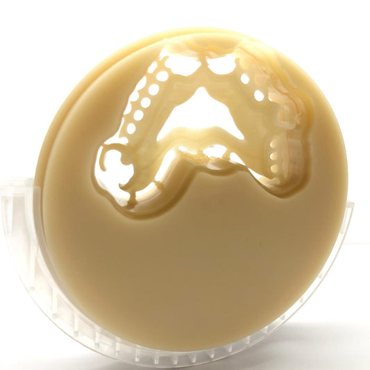 dental monolayer PMMA case