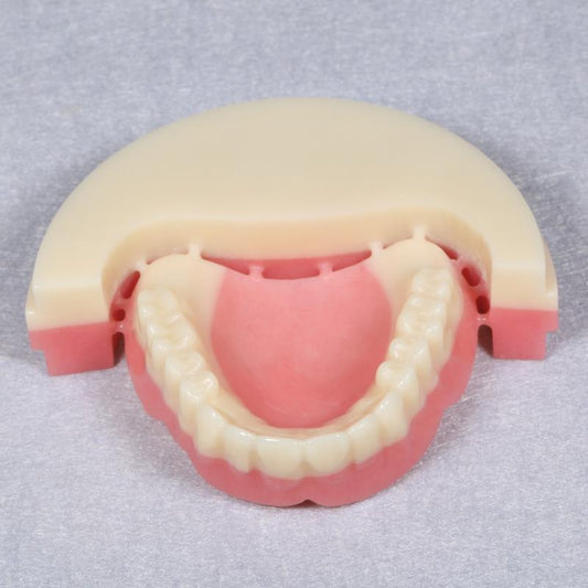 smilezir PMMA dental case